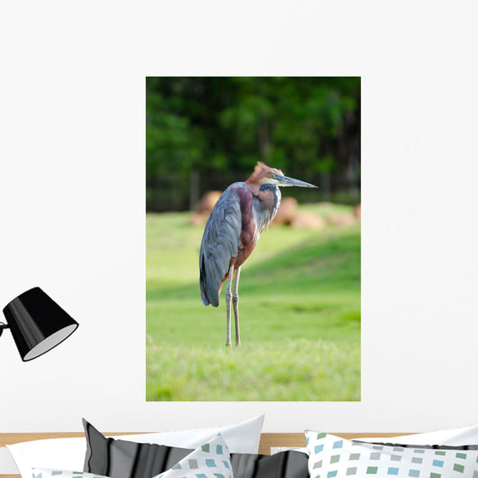 Giant Heron Standing Green Wall Mural