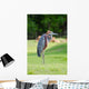 Giant Heron Standing Green Wall Mural