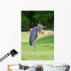 Giant Heron Standing Green Wall Mural
