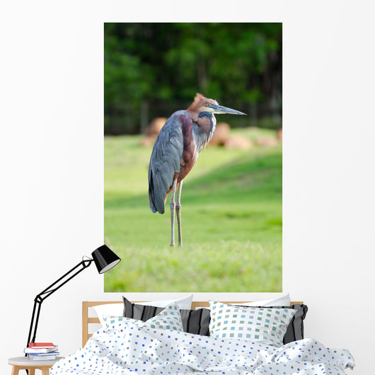 Giant Heron Standing Green Wall Mural