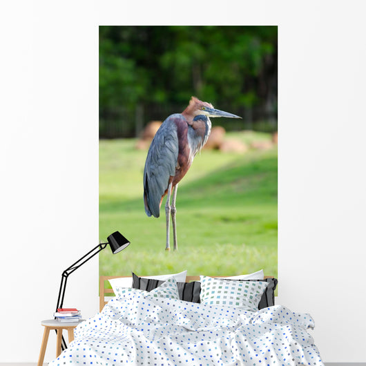 Giant Heron Standing Green Wall Mural