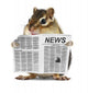 Funny chipmunk read newspaper Wall Mural