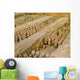 Terracotta Army