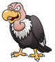 illustration of Cartoon vulture Wall Decal