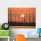 Sunset Over Docked Boats Wall Decal