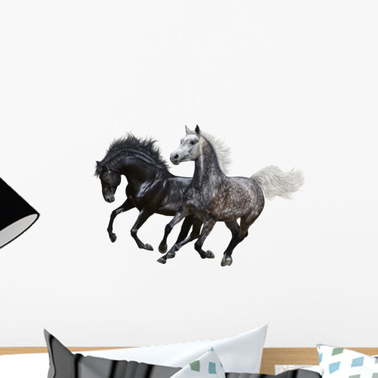 Two Horses Gallop White