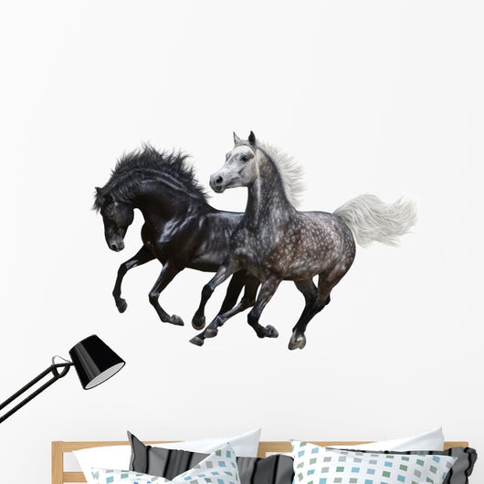 Two Horses Gallop White