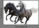 Two Horses Gallop White