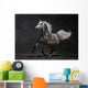 Gray Arabian Horse Gallops