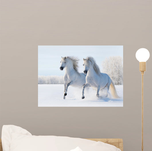 Two White Horses Gallop