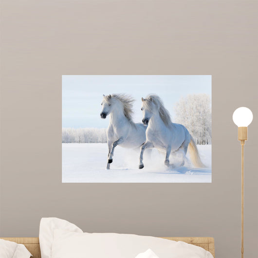 Two White Horses Gallop