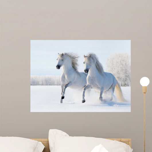 Two White Horses Gallop