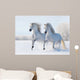 Two White Horses Gallop