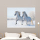 Two White Horses Gallop