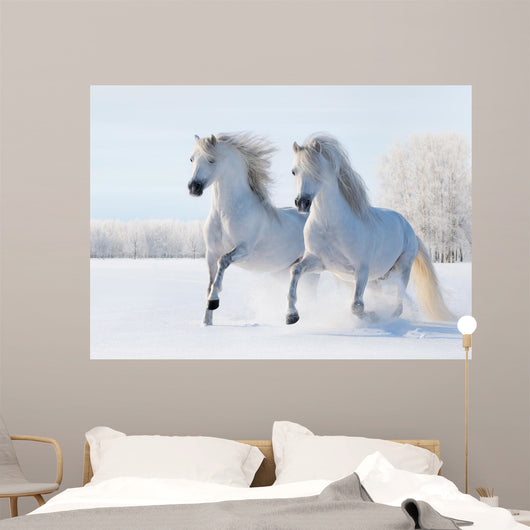 Two White Horses Gallop
