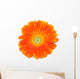 Gerbera Daisy Wall Decal