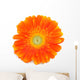 Gerbera Daisy Wall Decal