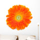Gerbera Daisy Wall Decal