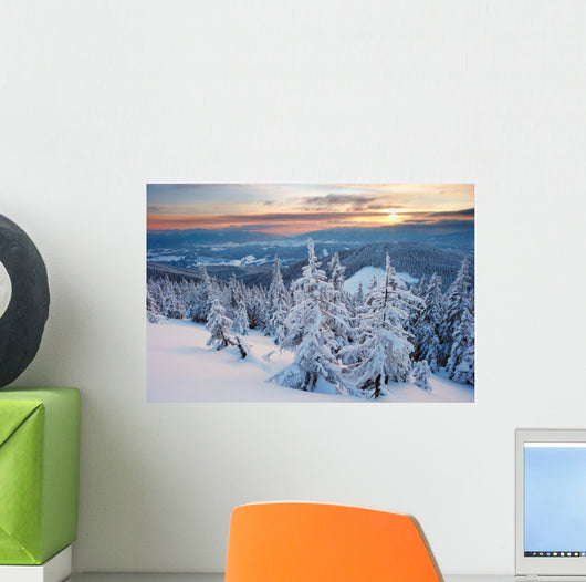 Winter Forest Wall Mural