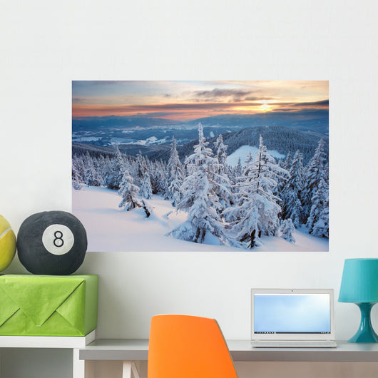 Winter Forest Wall Mural