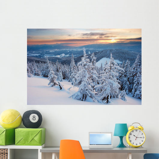 Winter Forest Wall Mural