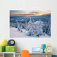 Winter Forest Wall Mural