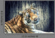 Tiger against Grunge Wall