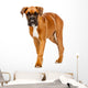 German Boxer Puppy Wall Decal