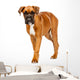 German Boxer Puppy Wall Decal