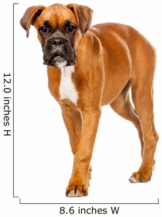 German Boxer Puppy Wall Decal