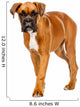 German Boxer Puppy Wall Decal
