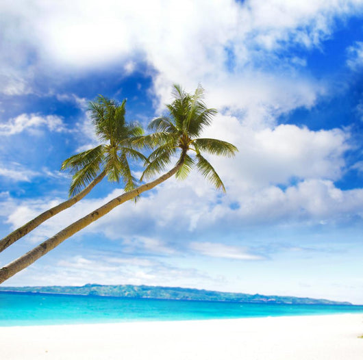 Palm Trees Tropical Sea Wall Mural