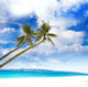 Palm Trees Tropical Sea Wall Mural