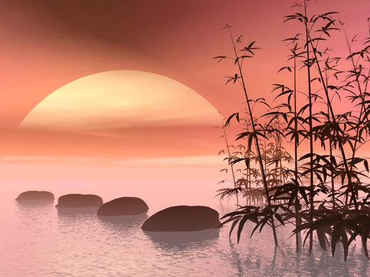 Asian Steps to Sun