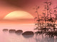 Asian Steps to Sun