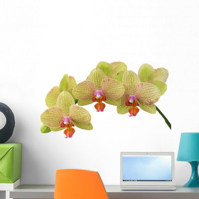 Bunch Yellow Orchids Wall Decal shown on a wall