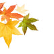 Autumn fall Leaves Wall Decal