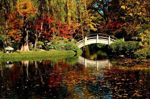 Japanese Garden with Fall Wall Decal