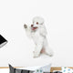Toy Poodle Gives Paw Wall Decal