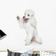 Toy Poodle Gives Paw Wall Decal