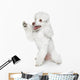 Toy Poodle Gives Paw Wall Decal