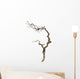 Dry Branch