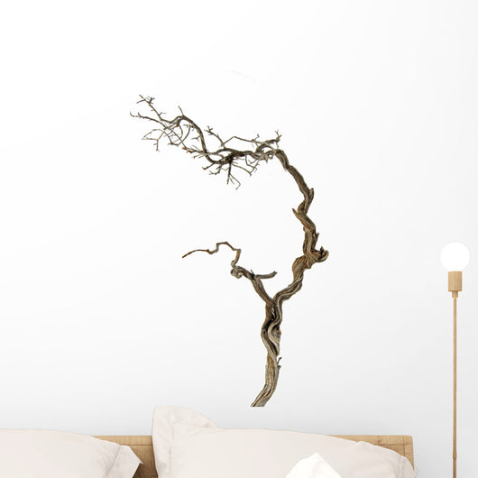 Dry Branch