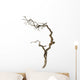Dry Branch