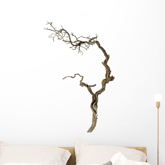 Dry Branch