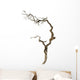 Dry Branch