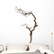 Dry Branch