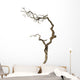 Dry Branch
