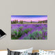 Sunset over a summer lavender field in Tihany, Hungary Wall Mural
