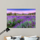 Sunset over a summer lavender field in Tihany, Hungary Wall Mural